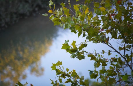 A Texas Fall
