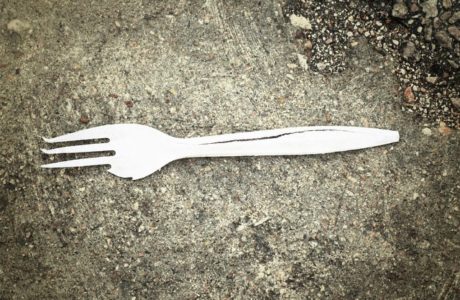 Fork in the Road