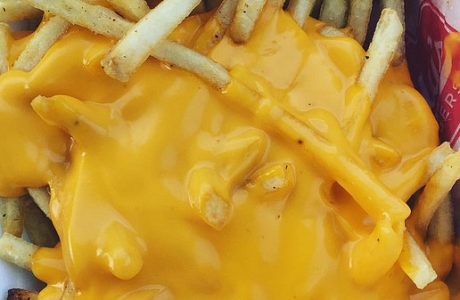 Freddy's Cheese Fries