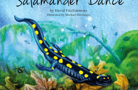 Salamander Dance
