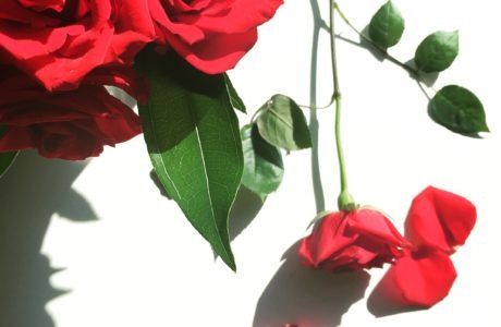 Hello February Instagram Challenge