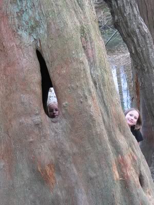 tree-girls