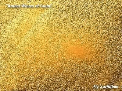 amber-waves-of-grain
