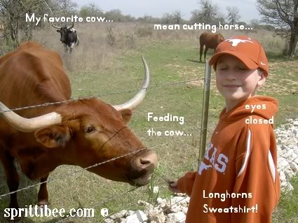 feeding-the-cow