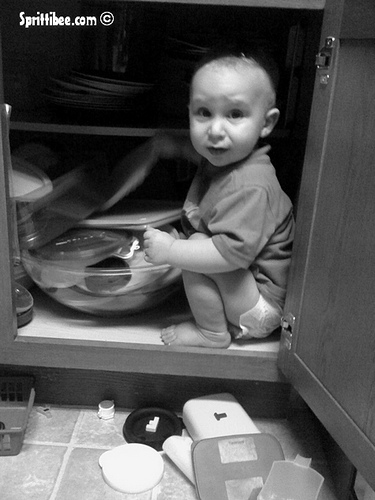 caught-in-cabinet