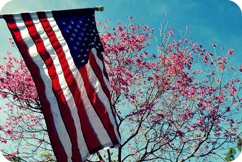 Flowers on Trees and Flag