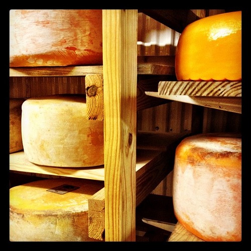 Cheese cooler at Sand Creek Farm #texas #country #organic #dairy