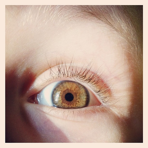 Eye explosion... Brownish blueish greyish. #eye #iris