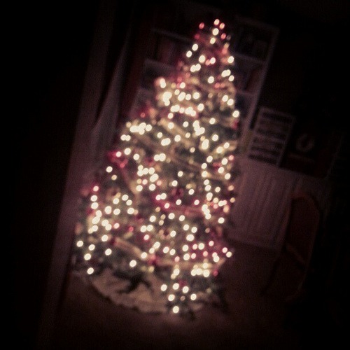 Good night. #Christmas #tree #lights