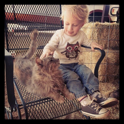Baby's new best friend.  ♥ #barncat #Igtexas #cats #country