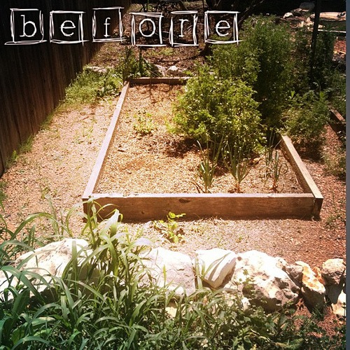 #smartyard BEFORE garden shot (yuck)