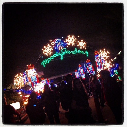 Moody Gardens Mile Long Trail of Lights!  #mgmediatour13
