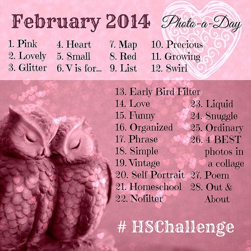 February #HSChallenge Instagram Photo a Day Challenge