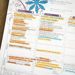 Misused The Well Planned Day Planner