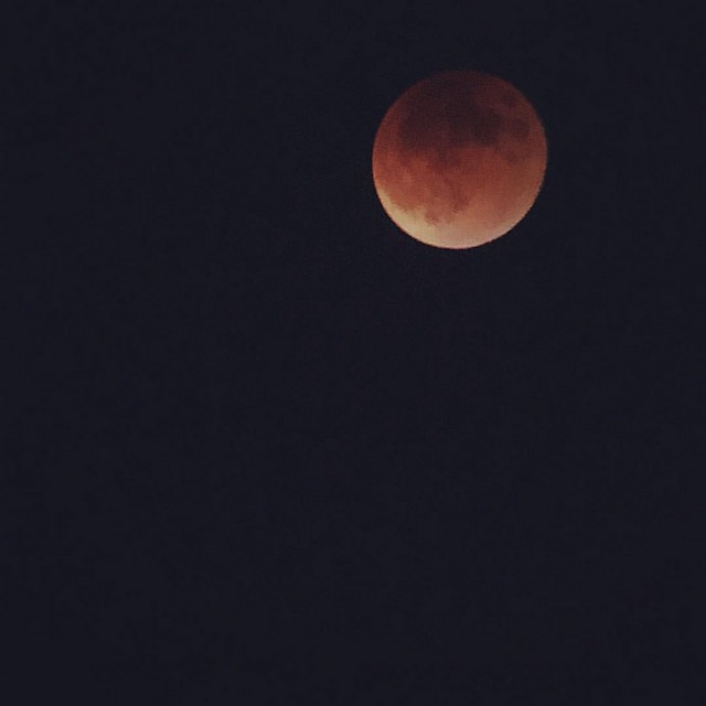 Blood Moon in Austin Texas