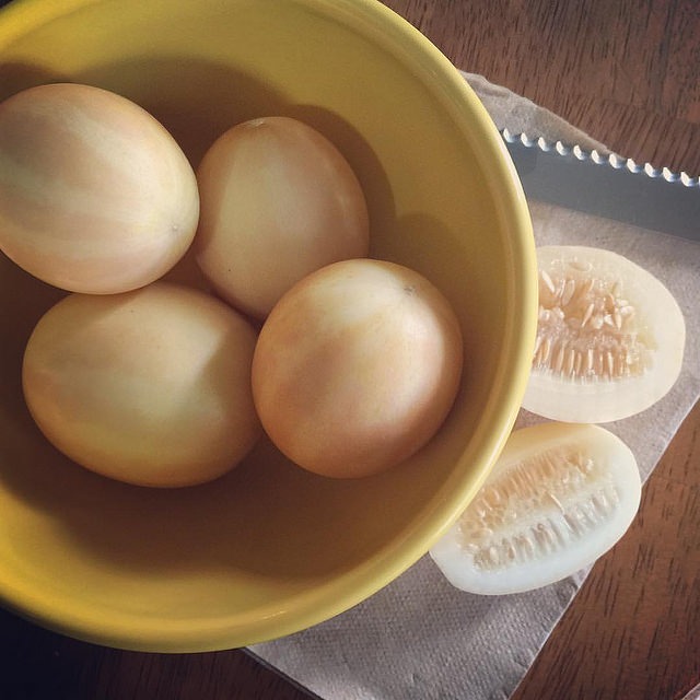 Queen Ann's Pocket Melon or Vine Peach via @sprittibee
