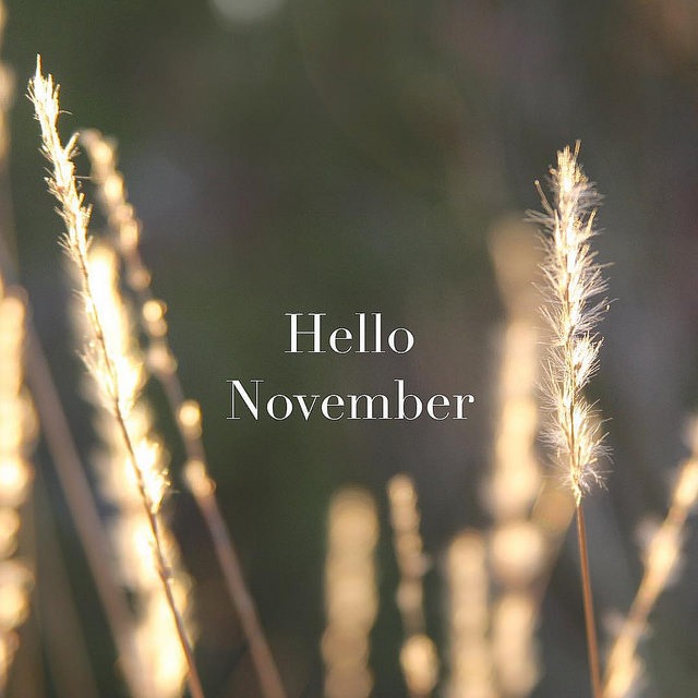 Hello November via @sprittibee