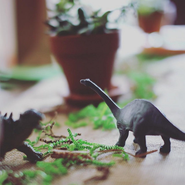 Dinosaur partyscape by @sprittibee