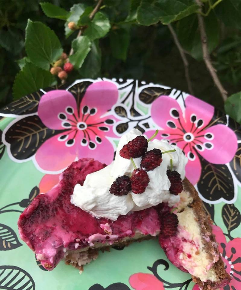 Mulberry Mama Cheesecake via @sprittibee