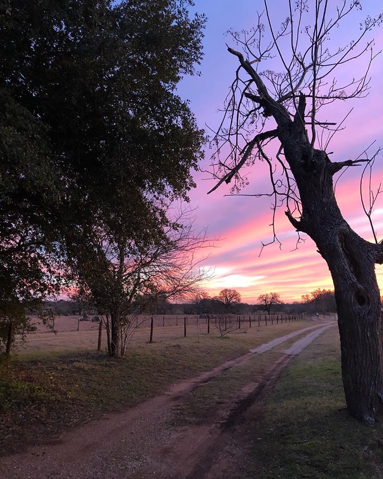 Texas Country Sunset @sprittibee