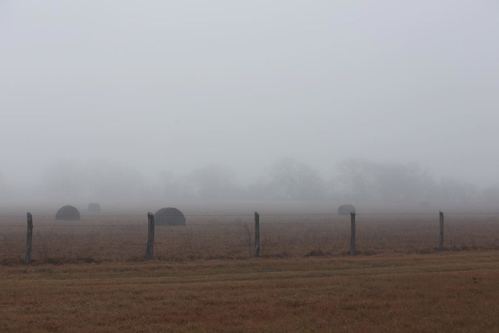 Foggy Morning at the Farm @sprittibee