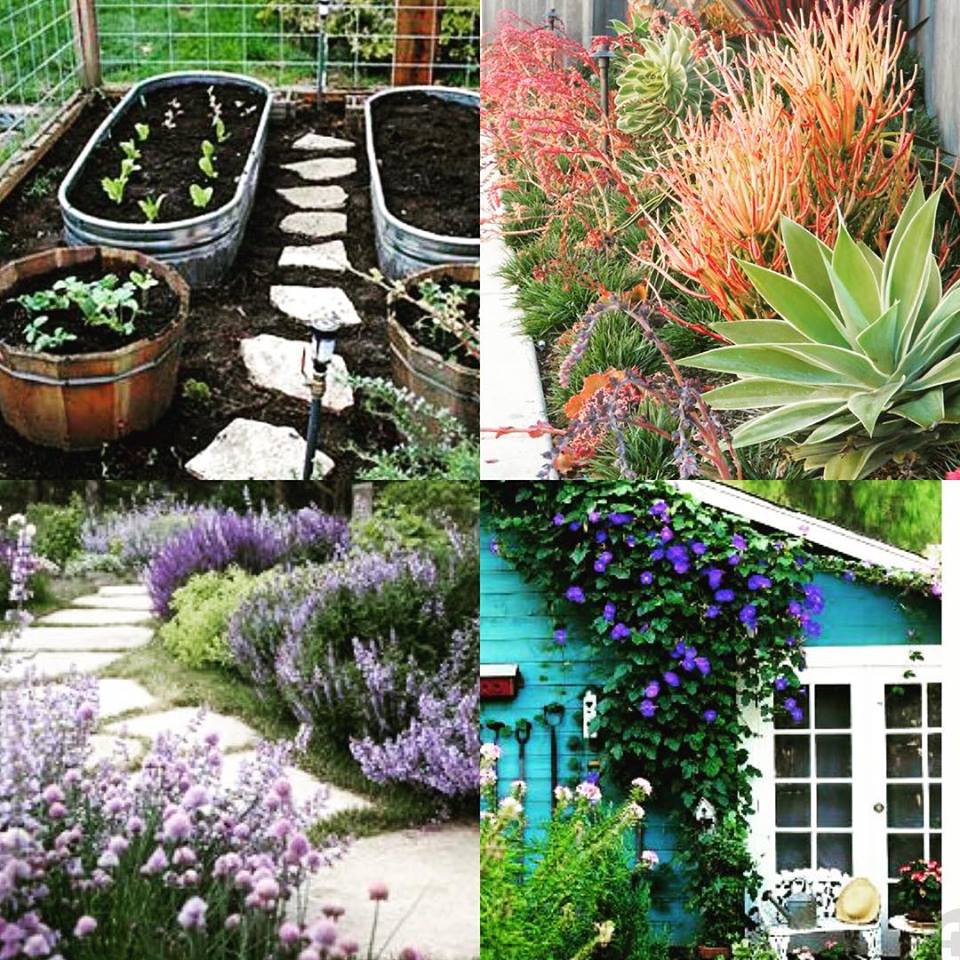 Garden Goals @sprittibee (from my Pinterest faves)